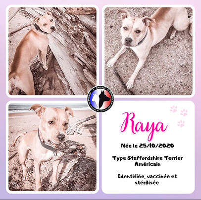 Raya