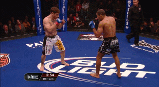 Pelops: 1 Jose Aldo