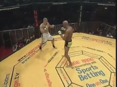 Hephaistos: 9 Anderson Silva