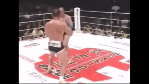 Fedor Emelianenko