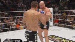 Tebhe: 1 Dan Henderson