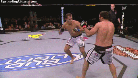 Tebhe: 2 Junior dos Santos