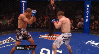 Pelops: 2 Jose Aldo