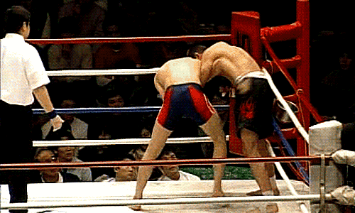 Herakles: 3 Shinya Aoki