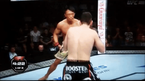 Tebhe: 5 Yoshihiro Akiyama
