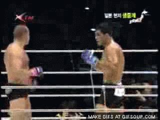 Hippolyte: 1 Fedor Emelianenko