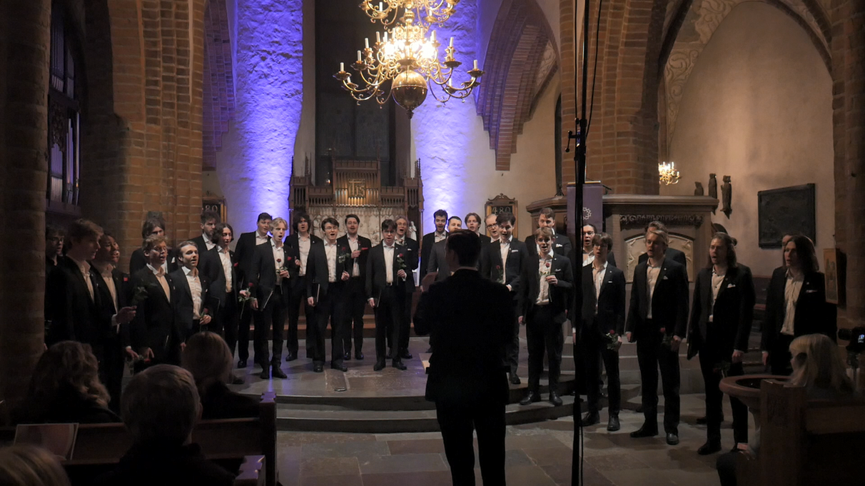 Konsertbild 3.png
