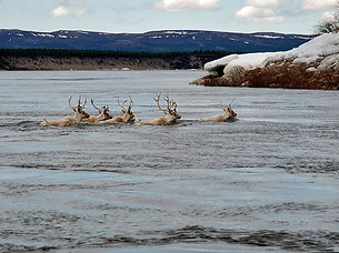 Kuujjuaq VHF Repeaters