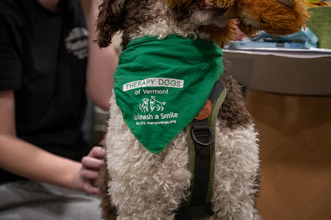 Therapy Dog Visit