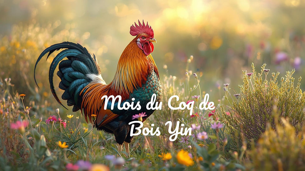 Septembre 2025 - Coq de Bois Yin