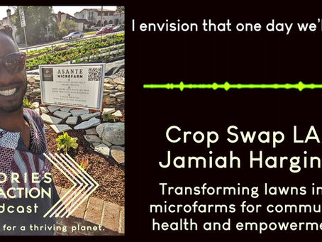Listen: Jamiah on the desperate food situation with Stories for Action Podcast