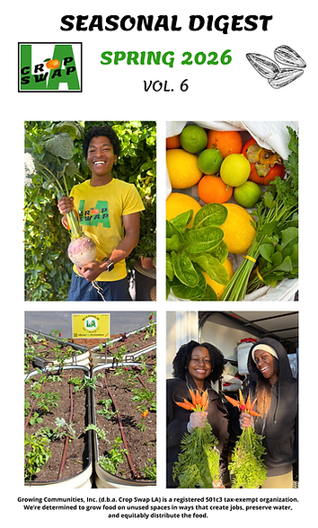 Spring '26 Digest Vol 5 (5.5 × 8.5 in).png