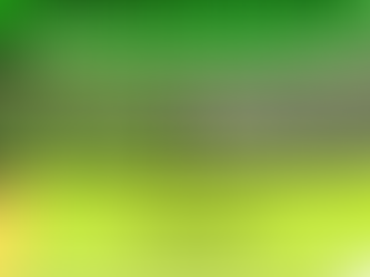 Microgreens for sale to Restaurants and Caterers