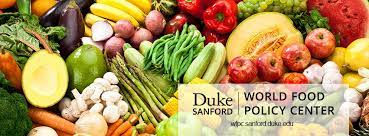 Examining Global Food Policy & Structure