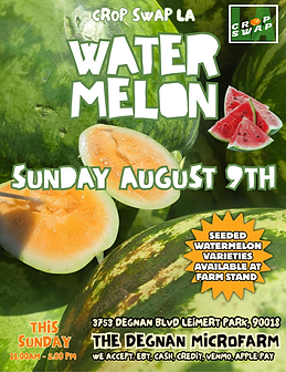 Watermelon Farm Stand Flyer (3).png