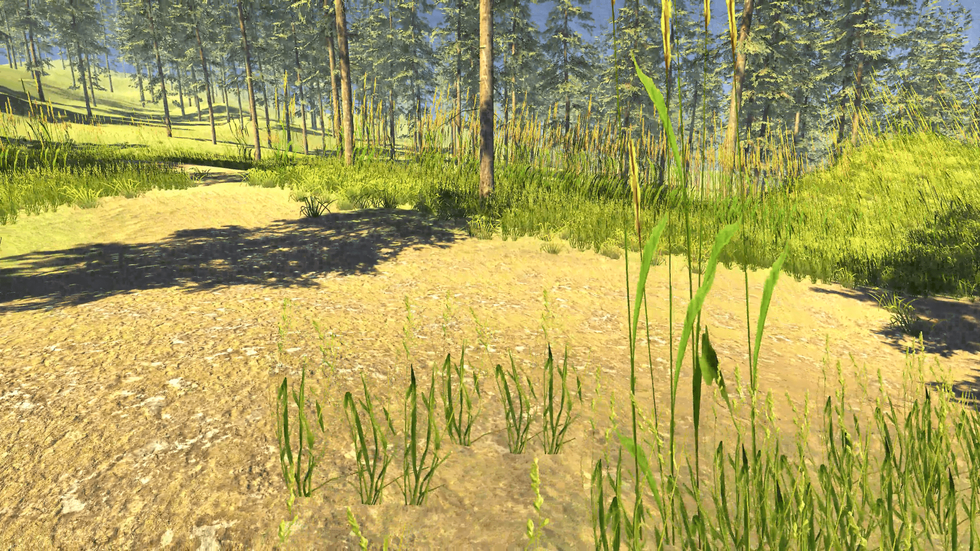 Terrain_Test