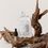 Thumbnail: Snow Whisper (Cedar Spice) Gemstone Diffuser by Palmoire
