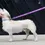Thumbnail: Dog Leash - Will You Be My Friend