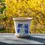 Thumbnail: Flower Pot (Hydrangea) by Emerson Creek