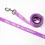 Thumbnail: Dog Leash - Will You Be My Friend