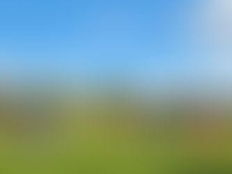 1. Herren weiterhin mit „weißer Weste“