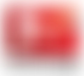 Ab in die Bundesliga