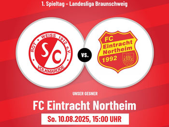 Landesliga - jetzt geht´s los