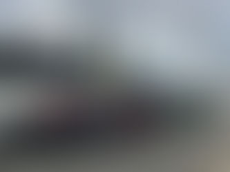 Volki in der Bundesliga