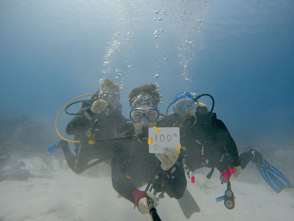 My 100th dive. Taken at Angel City in Bonaire.