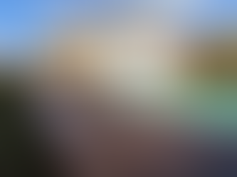 Terrasse Exterieure Itauba Wood et Zinc