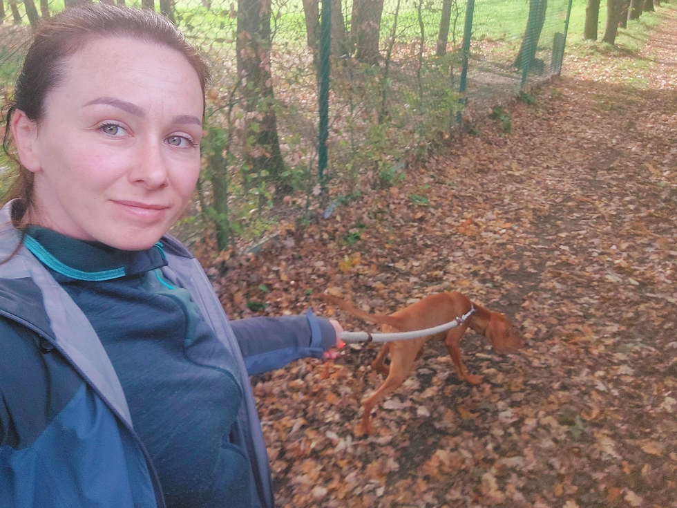 Uitlaatservice oor uw hond