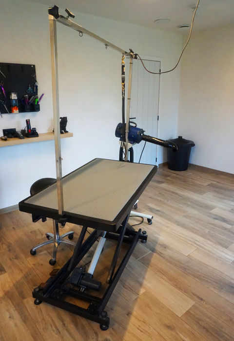 Professionele hondenlift in trimsalon Care Fur a Walk voor het veilig en comfortabel trimmen van honden.