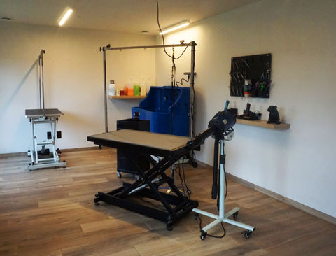 Binnenkant van de professionele trimsalon in Geel waar alle vachtverzorging wordt uitgevoerd.