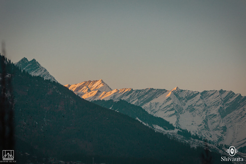 Luxury Resort in Manali with Private Balcony