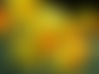 Lahtiolekuajad kevadpühal