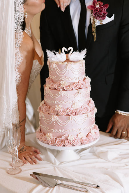 Cake at Raleigh Wedding