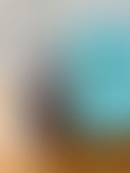 6 ways to prepare your dog for boarding