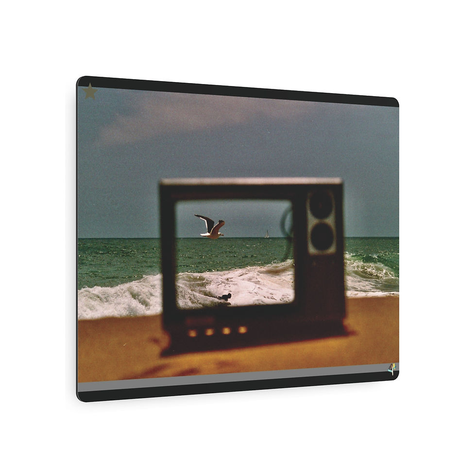 Thumbnail: "Sea Life TV" photo metal print