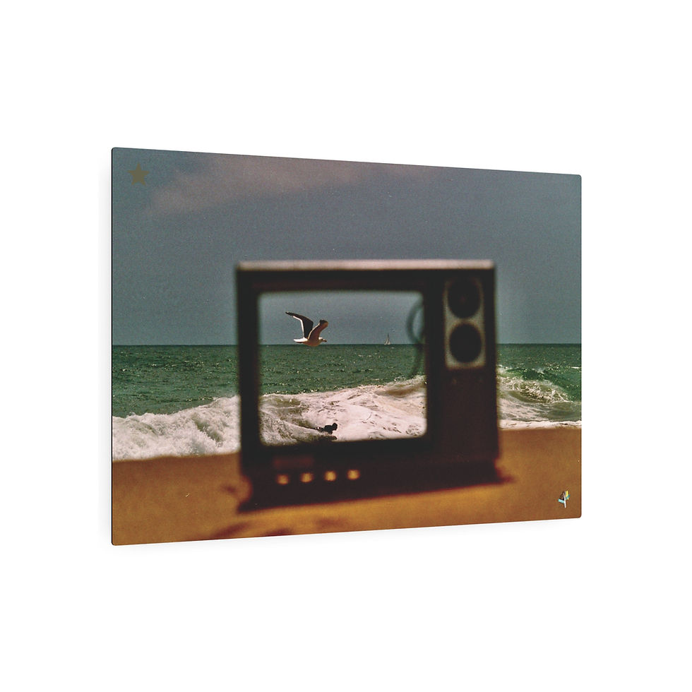 Thumbnail: "Sea Life TV" photo metal print