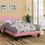 Thumbnail: F9300T Twin Bed