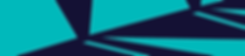 Performance Signage (Banner).png
