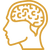 cerebro.png