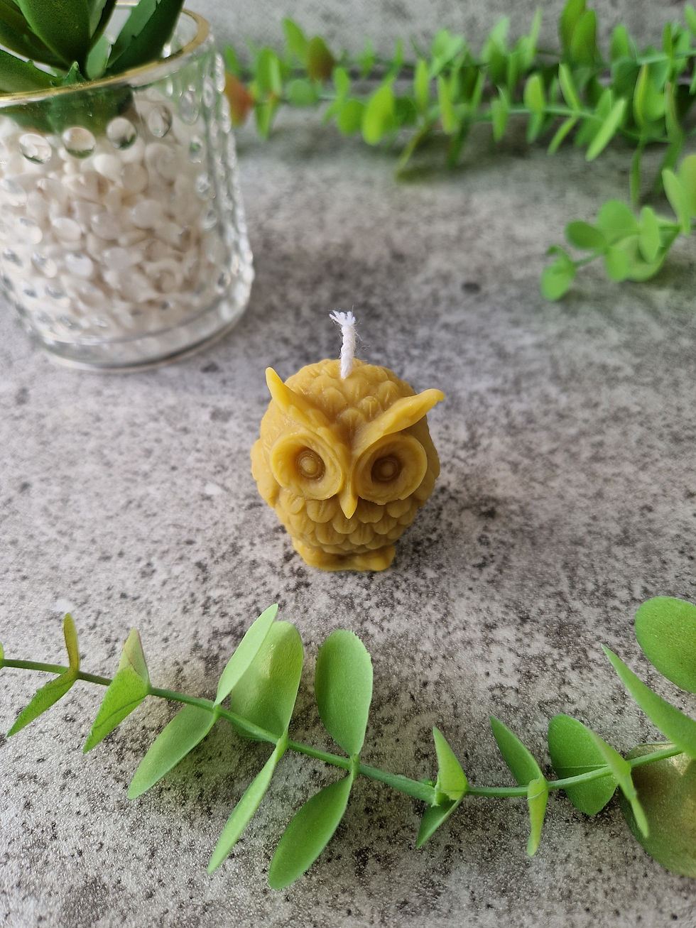 Rankų darbo natūralaus bičių vaško žvakė "Pelėda" 30g