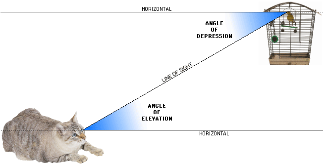 AngleEleDep.gif