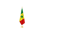 02 - BANNIERE SENEGAL.png
