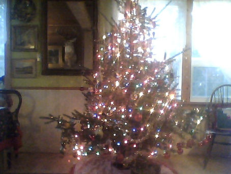 Panda's 12 MEWS of Christmas!