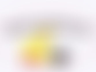 Fundraising Campaign info June 15,2021