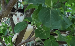 Panda's Posts August 8,2021