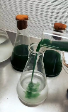 WhatsApp Image 2022-04-08 at 15.17_edited.jpg