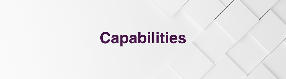 Website Images - Le Collectif - Capability Banners (10).png